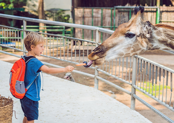 Reception zoo trip